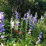 Bed and Breakfast Les Jardins De Camelot Villegouge