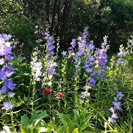 לינה וארוחת בוקר Les Jardins De Camelot Villegouge