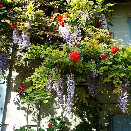 לינה וארוחת בוקר Les Jardins De Camelot