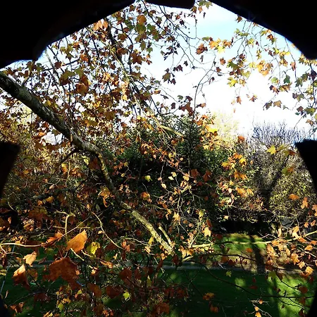 Les Jardins De Camelot Bed & Breakfast