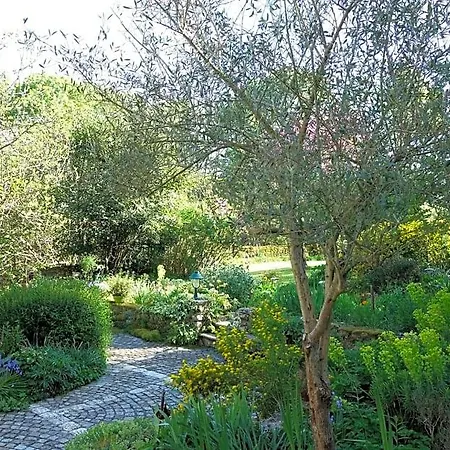 Les Jardins De Camelot Bed and Breakfast