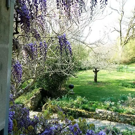 Les Jardins De Camelot Bed & Breakfast Villegouge