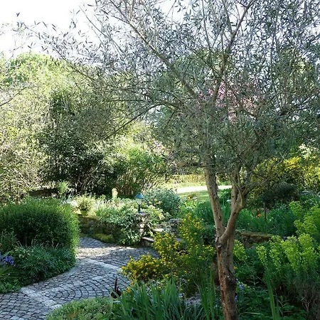 Bed & Breakfast Les Jardins De Camelot