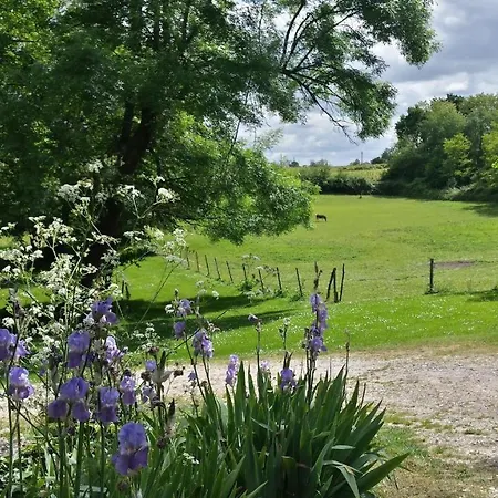 לינה וארוחת בוקר Les Jardins De Camelot 3*