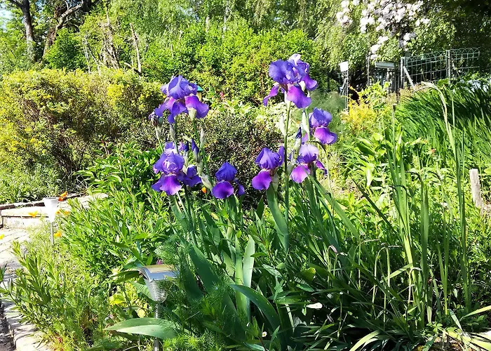 Les Jardins De Camelot Отель типа 